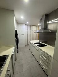 Cairnhill Crest (D9), Condominium #626638291